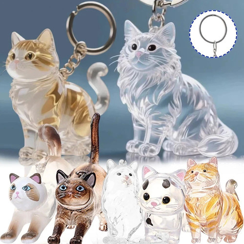 Cat hair keychain - cat, storage